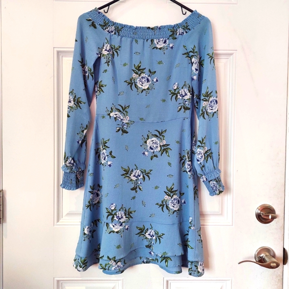 [H&M] Blue roses long sleeve dress